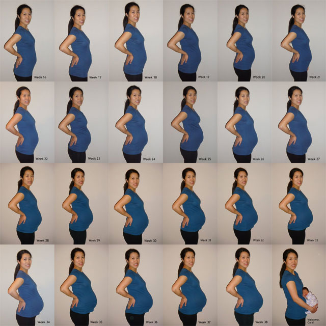 Pregnant Bellies By Week 50